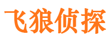 临汾市私家侦探